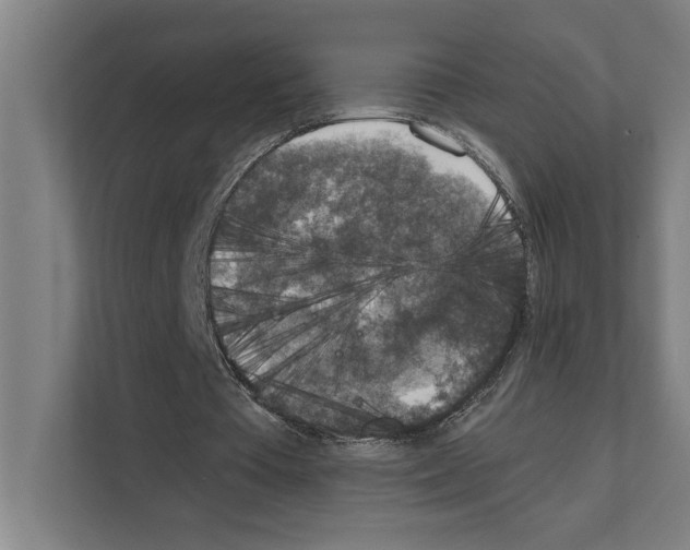 X0000111140385200908111118