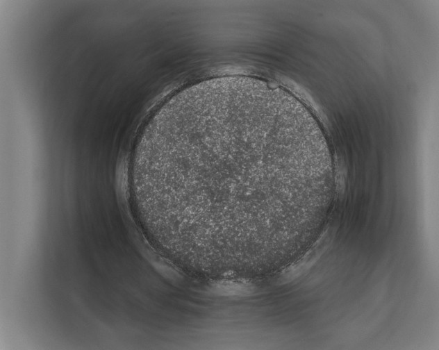 X0000111140386200908111118