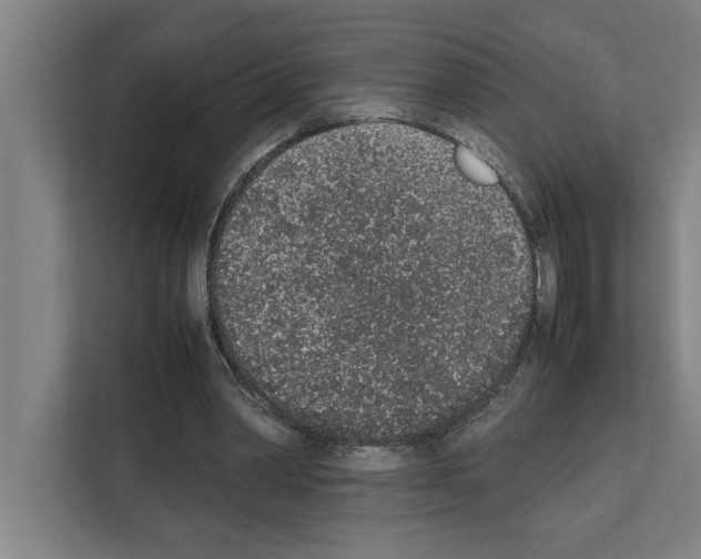 X0000111140390200908111118