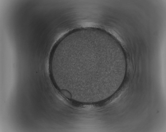 X0000111140391200908111118