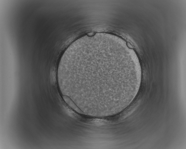 X0000111140393200908111118