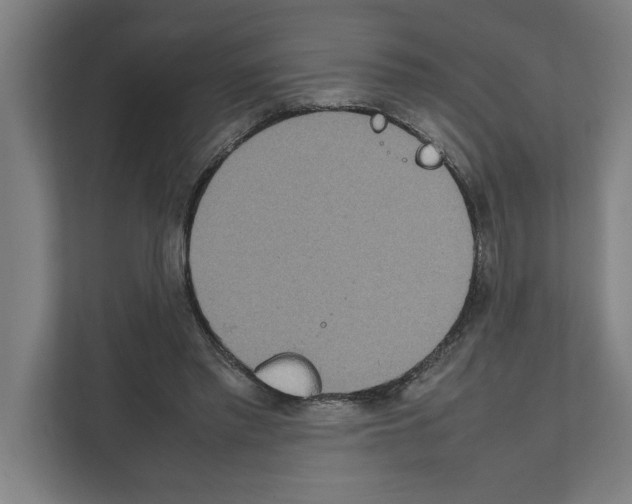 X0000111140397200908111118