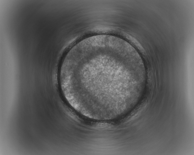 X0000111140399200908111118