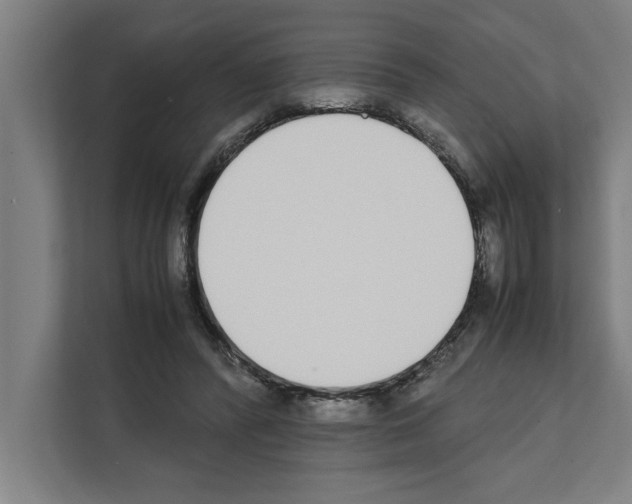 X0000111140400200908111118