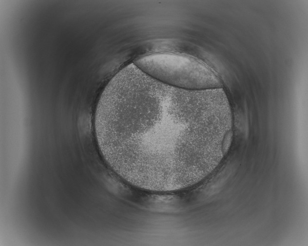 X0000111140401200908111118