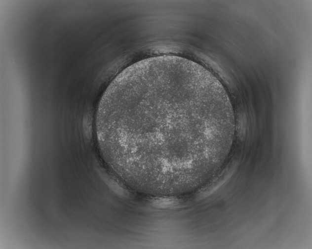 X0000111140402200908111118