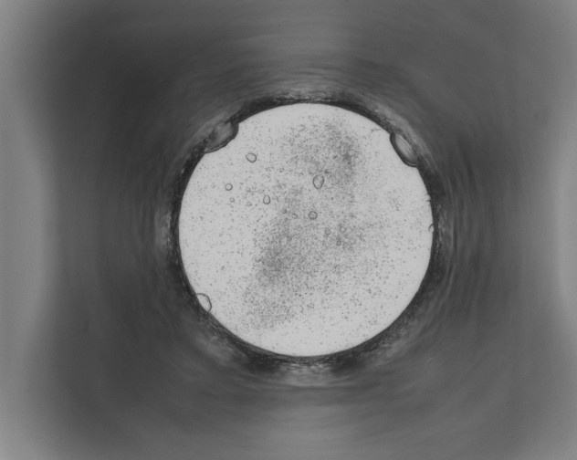 X0000111140403200908111118