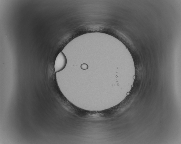 X0000111140407200908111118