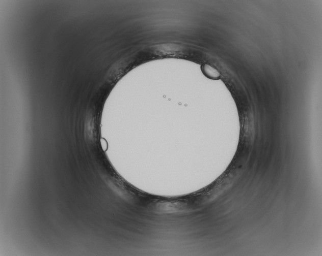 X0000111140408200908111118