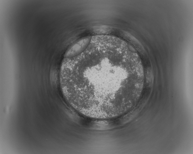 X0000111140409200908111118