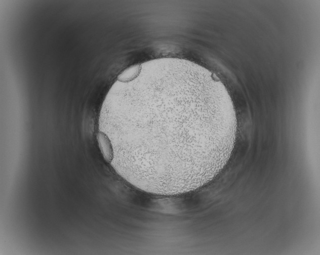 X0000111140417200908111118