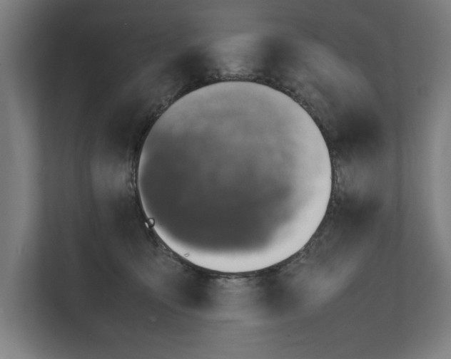 X0000111140419200908111118