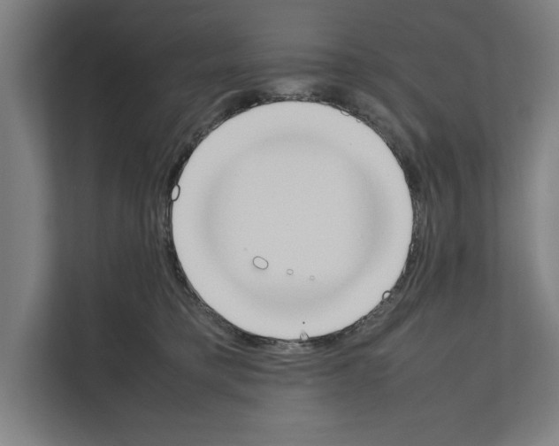 X0000111140421200908111118