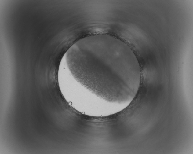 X0000111140423200908111118