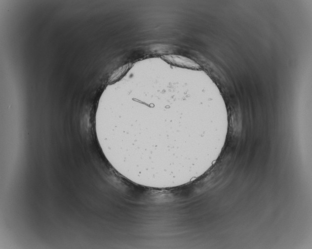 X0000111140424200908111117