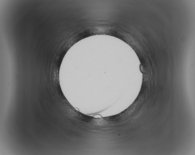 X0000111140425200908111117