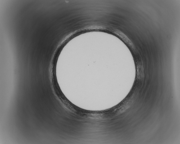 X0000111140436200908111117