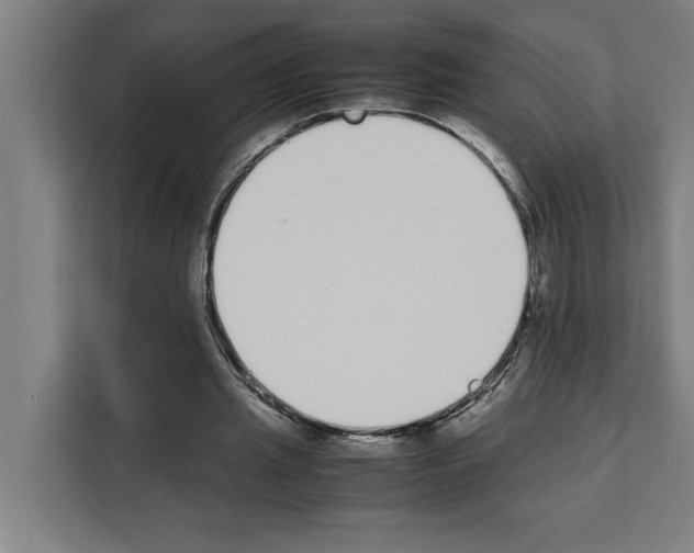 X0000111140437200908111117