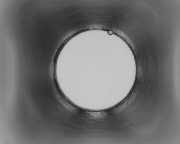 X0000111140439200908111117