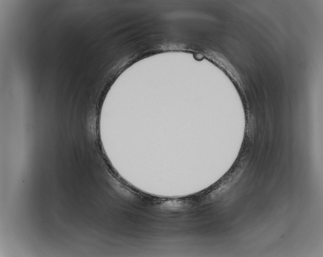 X0000111140441200908111117