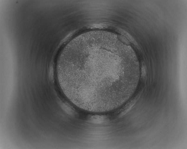 X0000111140444200908111117