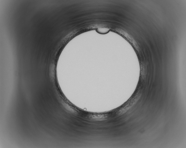 X0000111140445200908111117