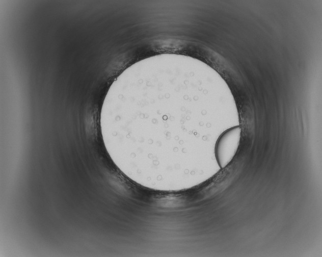 X0000111140460200908111117