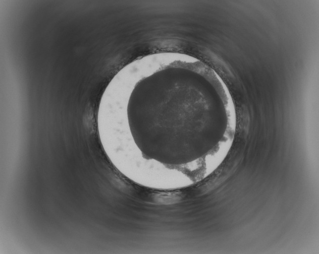 X0000111140465200908111117