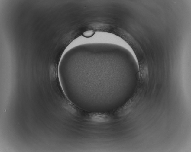 X0000111140471200908111117