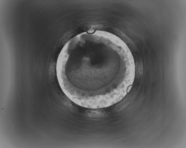 X0000111140475200908111117