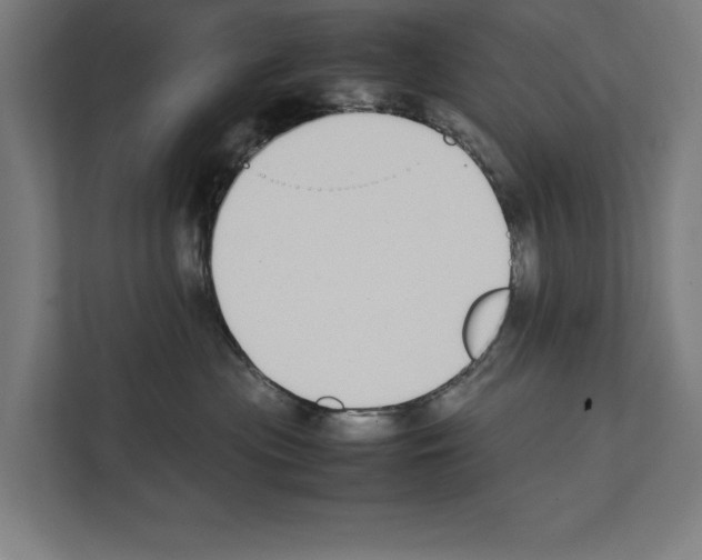 X0000111140477200908111117