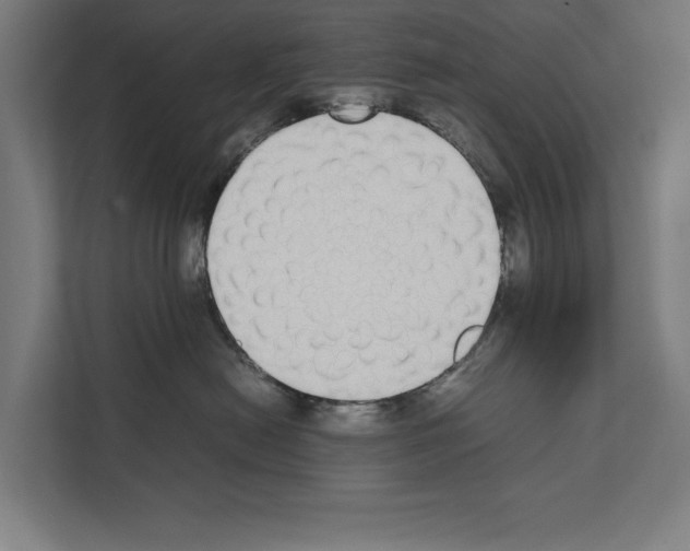 X0000111140478200908111117