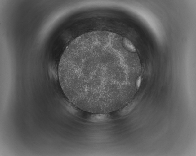 X0000111140479200908111117