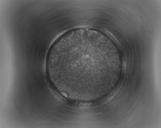 X0000111140484200908111117