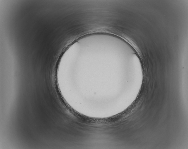 X0000111140485200908111117