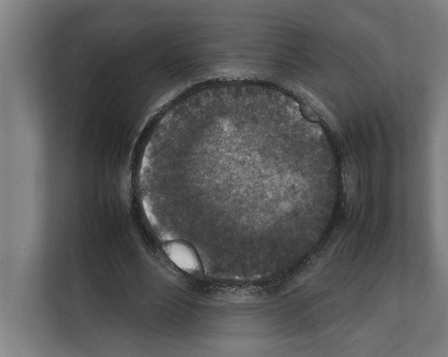 X0000111140488200908111117