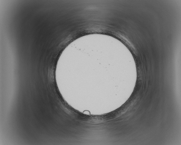 X0000111140489200908111117