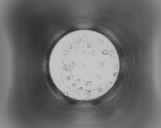 X0000111140491200908111117