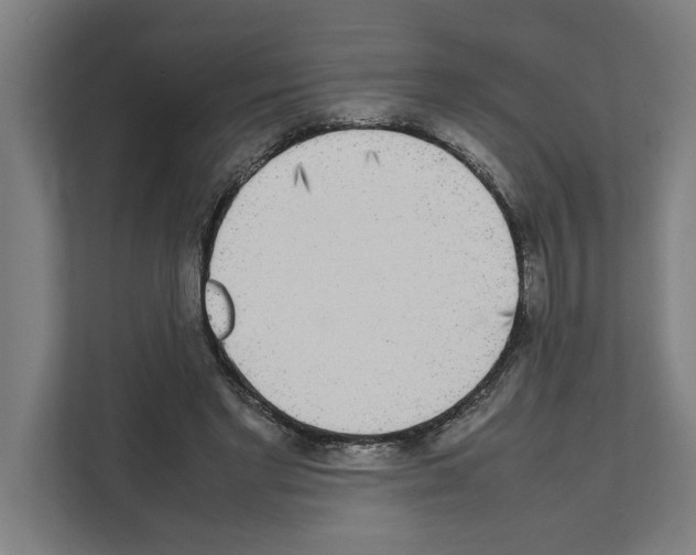 X0000111140493200908111117