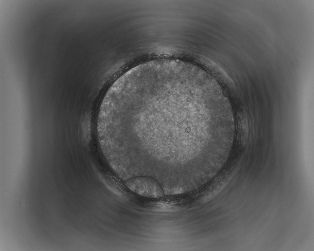 X0000111140496200908111117