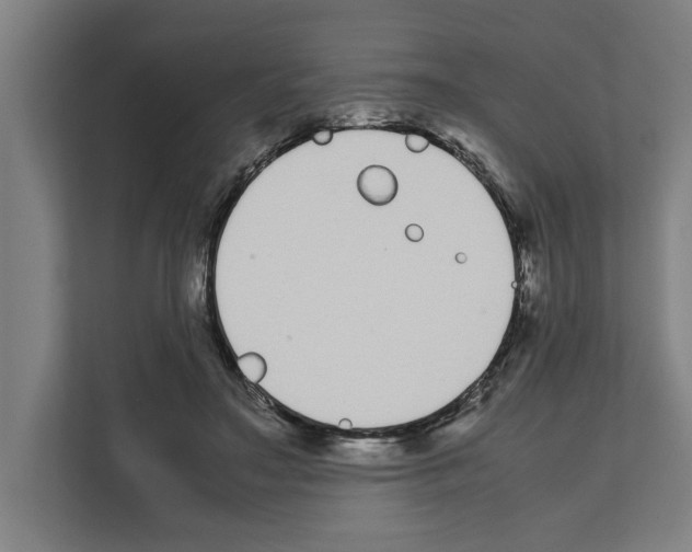 X0000111140499200908111117