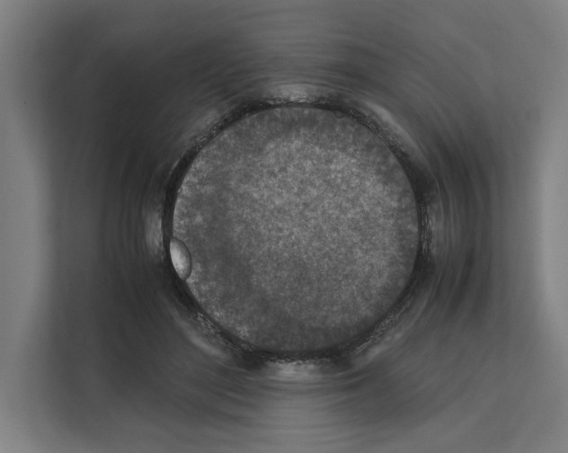 X0000111140500200908111117