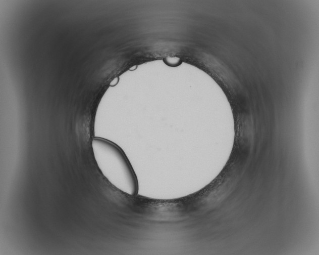 X0000111140501200908111116