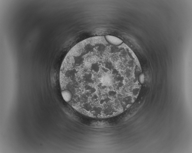 X0000111140503200908111116