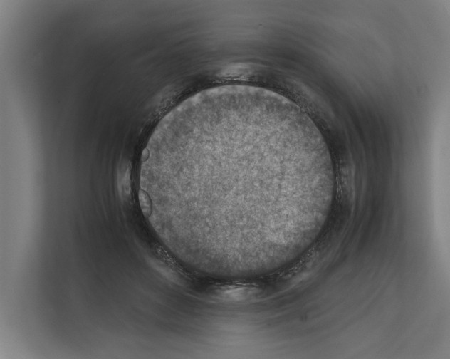 X0000111140504200908111116