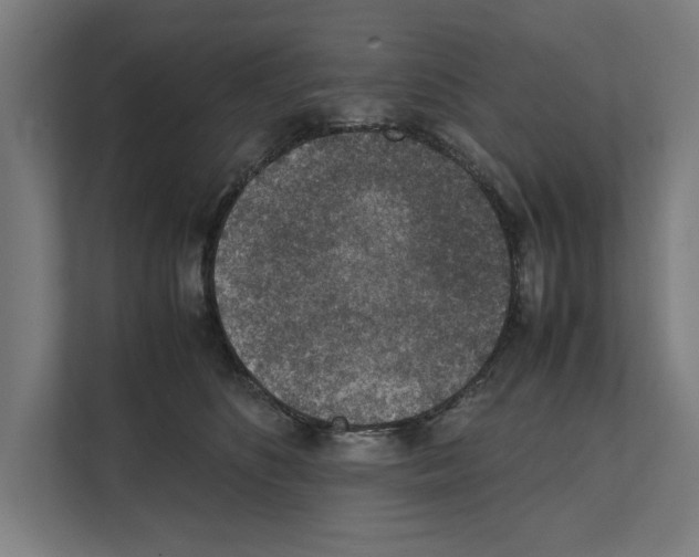 X0000111140516200908111116