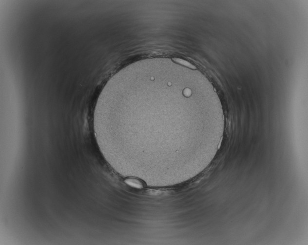 X0000111140520200908111116