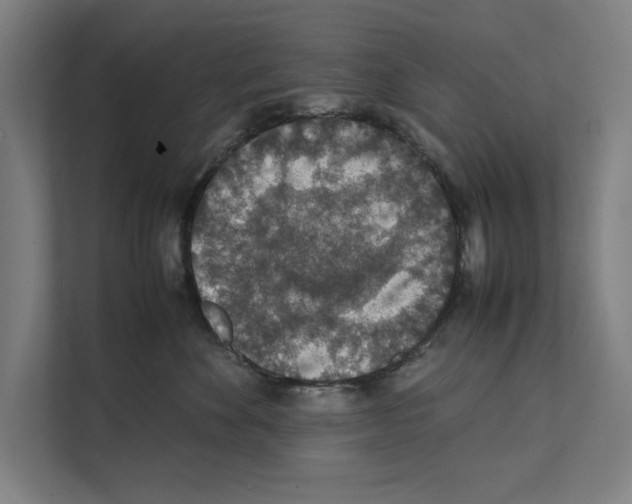 X0000111140524200908111116