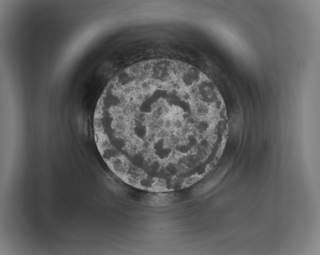 X0000111140527200908111116