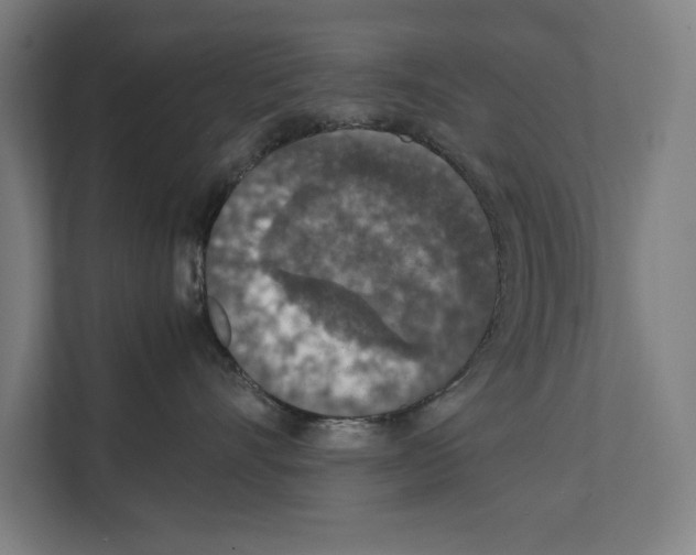 X0000111140528200908111116